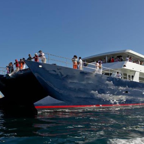 100ft Catamaran Party Boat 