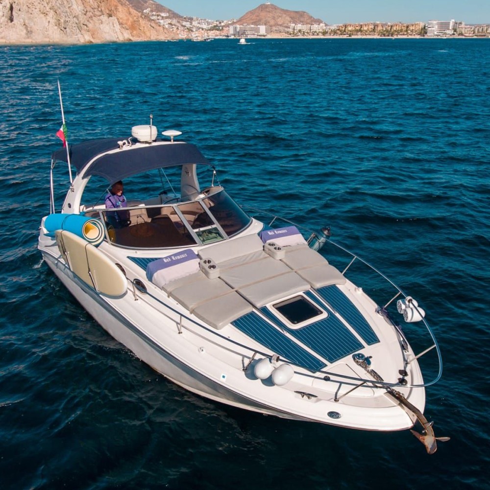 32' Sea Ray Luxury Yacht