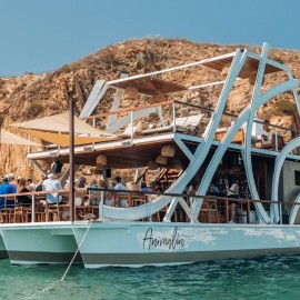 49' Special Event Catamaran 